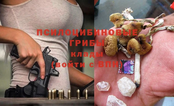 гидра Абинск