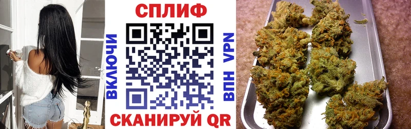 darknet телеграм  Сергач  Каннабис White Widow  наркота 